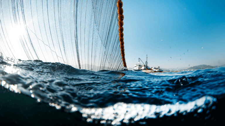 Fishing at sea